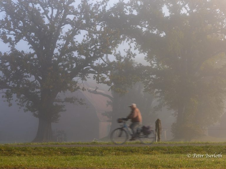 Fotografie eines Radfahrers im Nebel mit eichen im Hintergrund.