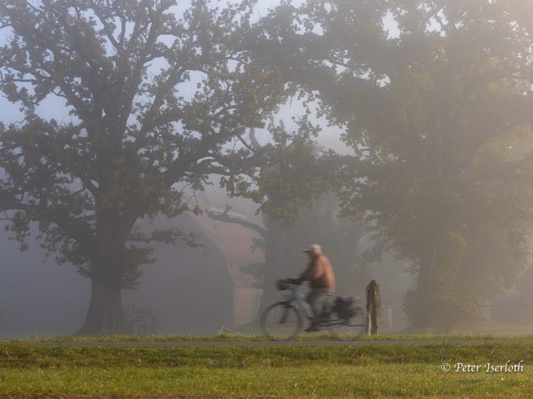 Radfahrer im Nebel, umgeben von Bäumen und einer ruhigen Landschaft.